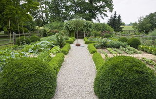 上海綠化園藝工程哪家專(zhuān)業(yè)而且又好