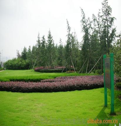 承攬綠化工程、園林施工、園林綠化工程養(yǎng)護(hù)