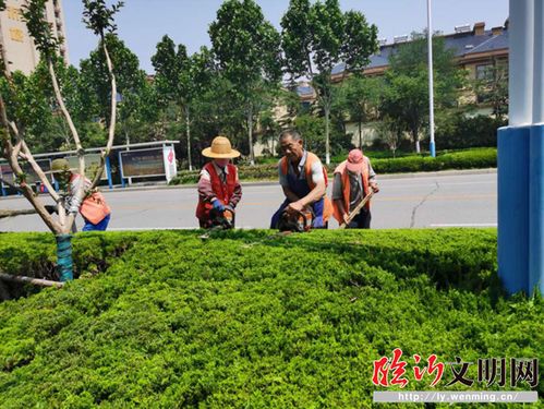 高新區(qū) 創(chuàng)建全國文明城市,園林人在行動