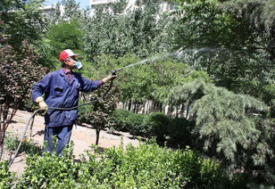 延吉市華天園林綠化 經(jīng)營產品介紹 圖